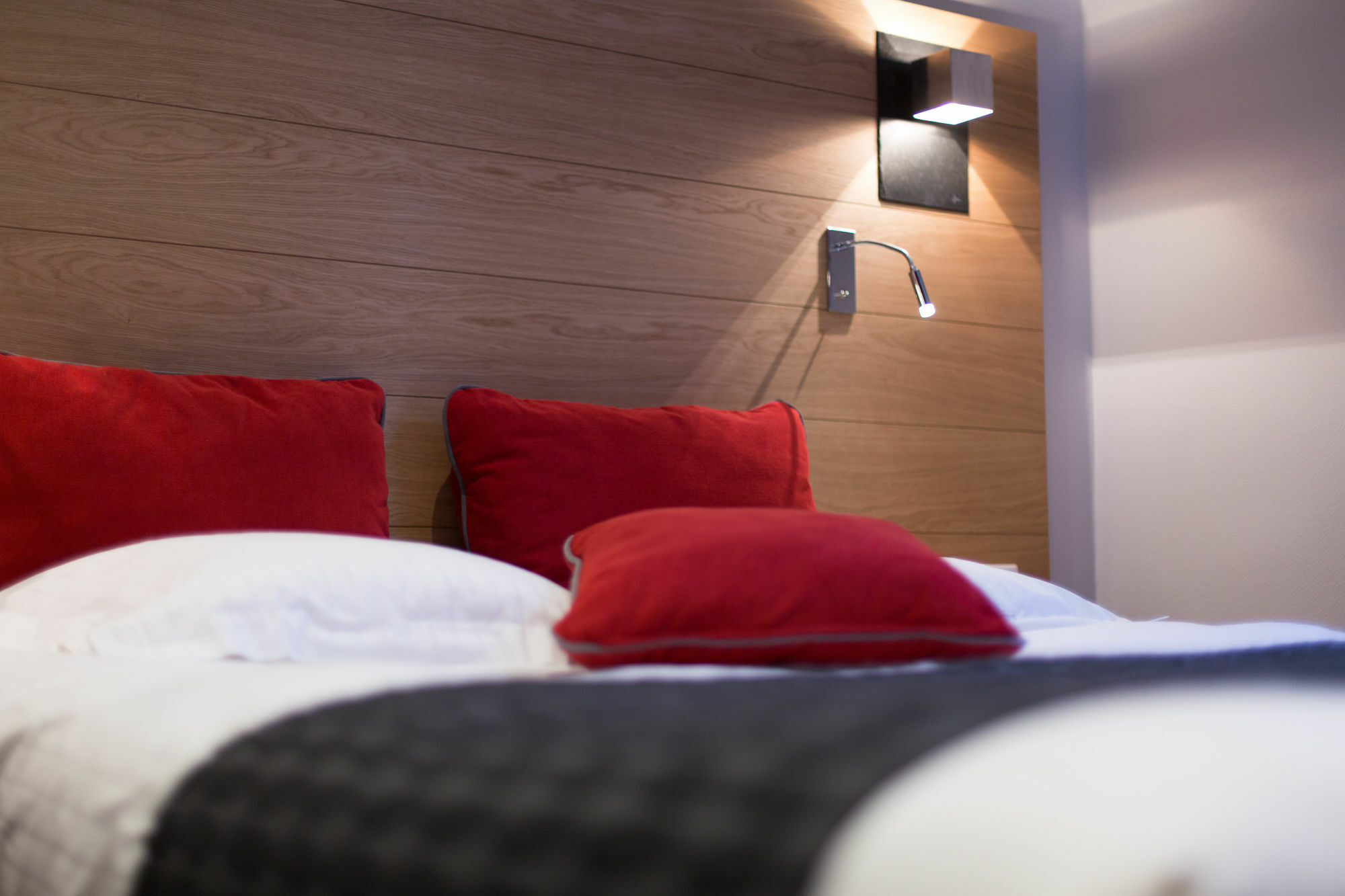 Hotel Des Princes, Chambery Centre Ngoại thất bức ảnh